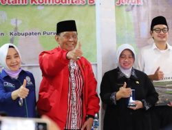 Kemanisan Jeruk Beringin Kalahkan Jeruk Thailand