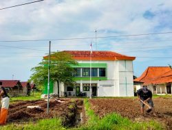 Patungan Pegawai, BPP Grabag Buat Demplot Kacang Tanah