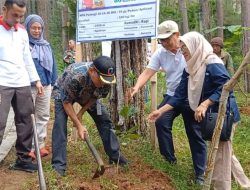 Manfaatkan Lahan Perhutani, Desa Ngadirejo Tanam Bibit Kopi Nusantara