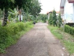 5 Paket Rehabilitasi Jalan Poros Desa Dikerjakan Tahun Ini