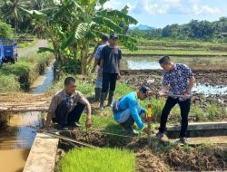 Maksimalkan Hasil Panen, Kebongunung Mitigasi Irigasi