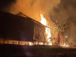 Kandang Ayam di Kalikalong Dilalap Api, Kerugian Capai Rp 1,1 Miliar Lebih
