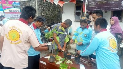Berumur Lebih 1 Abad, Durian Slumun Jadi Andalan Desa Kaligondang Pituruh