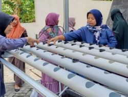 Manfaatkan Lingkungan Sekitar, Kelurahan Tambakrejo Gandeng KWT Anggrek Asri Adakan Pelatihan Hidroponik