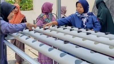 Pelatihan hidroponik