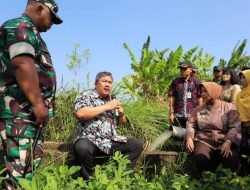 Teknologi Pompanisasi Bisa Bantu Petani Tanam Padi Berkelanjutan