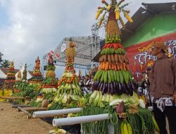 Meriah, Warga Trirejo Loano Perebutkan Gunungan Hasil Bumi dan Tumpeng