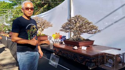 bonsai ppbi