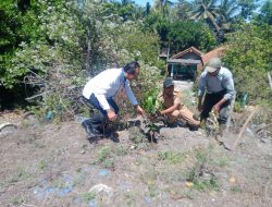Penghijauan Kawasan Pesisir Purworejo, PNM UlaMM Magelang Bantu Ratusan Bibit Pohon