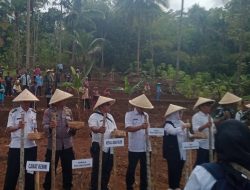 Desa Dilem Kemiri Tingkatkan Produktivitas Lahan Kering Dengan Lakukan Gertam Padi Gogo