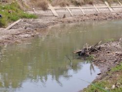 Debit Sungai Menurun, Kinerja Pompa Air Sawah di Krandegan Terganggu
