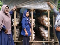 Pengabdian Masyarakat, STIERA dan IBISA Beri Pendampingan Usaha Jamur Tiram Kelompok Difabel
