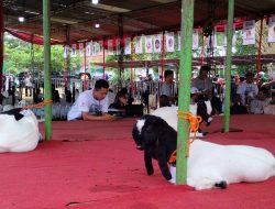 Bawaslu Ajak Peternak Kambing Awasi Pilkada 2024