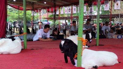 Bawaslu Ajak Peternak Kambing Awasi Pilkada 2024