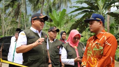 pjs bupati endi