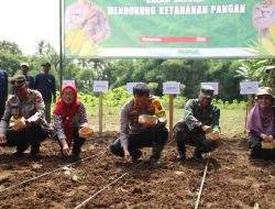 Gandeng Kelompok Tani Sido Makmur, Polres Purworejo Tanam Jagung di Desa Karangduwur