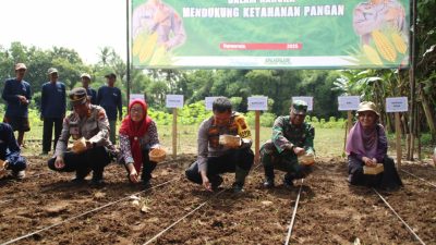 Gandeng Kelompok Tani Sido Makmur, Polres Purworejo Tanam Jagung di Desa Karangduwur