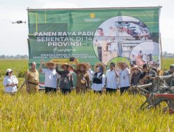 Jadi Lumbung Pangan Nasional, Jateng Targetkan Produksi Padi 11,8 Juta Ton
