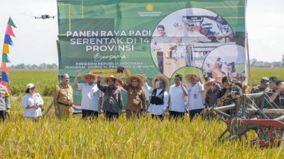 Jadi Lumbung Pangan Nasional, Jateng Targetkan Produksi Padi 11,8 Juta Ton