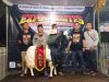 Kambing dari Andoyo Farm Tlogorejo Jadi Kampiun Expo dan Kontes Kambing Kaligesing 2025