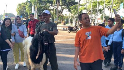 Dorong Potensi Lokal, Dandim 0708 Purworejo Tampilkan Kambing Etawa Kaligesing di Alun-Alun