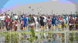 Gubernur Ahmad Luthfi Kembali “Mageri Segoro”, Tanam 1,5 Juta Mangrove di Pesisir Jateng