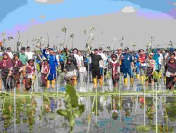 Gubernur Ahmad Luthfi Kembali “Mageri Segoro”, Tanam 1,5 Juta Mangrove di Pesisir Jateng