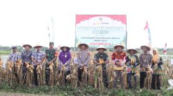 Polres Purworejo Panen Raya Serentak di Desa Wonosari, Hasilkan 6 Ton Jagung Berkualitas