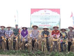 Polres Purworejo Panen Raya Serentak di Desa Wonosari, Hasilkan 6 Ton Jagung Berkualitas