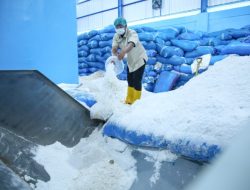 Wujudkan Swasembada Garam, BUMD Pemprov Jateng Serap 30 Ribu Ton Produksi Petambak Lokal