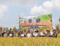 Panen Padi dan Tanam Jagung Bareng, Bukti TNI=Polri Hadir di Bidang Keamanan