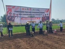 Semangat Hari Bhayangkara, TNI-Polri Panen Raya Padi dan Tanam Jagung Serentak di Purworejo