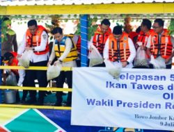 Jaga Kelestarian Hayati Waduk Rowo Jombor, Ahmad Luthfi dan Taj Yasin Dampingi Gibran Tebar 50 Ribu Benih Ikan