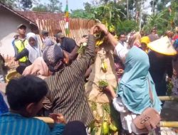 Merti Desa Sibentar, Tradisi Syukur dan Pelestarian Budaya yang Satukan Warga