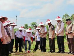 Menteri ATR Apresiasi Jawa Tengah, Lahan Pertanian 91 Persen Masih Terjaga