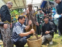 Angkat Ekonomi Kreatif, Mangga Istana Pemalang Sampai ke Mancanegara