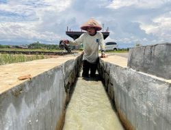 Gubernur Ahmad Luthfi Bantu Irigasi Petani Pekalongan, Air Mudah Panen Meningkat