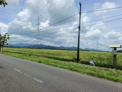 KDMP Jadi PSN, Desa-desa di Purworejo Terjepit Soal Ketersediaan Lahan