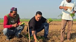 Rudi Hartono Dukung Petani Tembakau Popongan, Bantu Selang dan Kawal Usulan Sumur Pompa