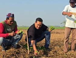 Rudi Hartono Dukung Petani Tembakau Popongan, Bantu Selang dan Kawal Usulan Sumur Pompa