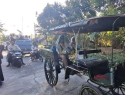 Pasangan Guru di Cangkrepkidul Diarak Naik Kereta Kuda Usai Pulang Haji