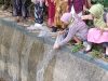 Syukuri Kelulusan, Siswa SDN Kaligesing Tebar 5.000 Bibit Ikan