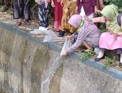 Syukuri Kelulusan, Siswa SDN Kaligesing Tebar 5.000 Bibit Ikan