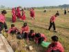 Siswa SDN Kemanukan Gotong Royong Bersihkan Lapangan Desa dari Sampah