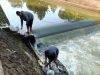 Tebar 2.000 Benih Ikan, Roy Adinata Ajak Masyarakat Jaga Ekosistem Saluran Kedung Putri