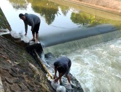Tebar 2.000 Benih Ikan, Roy Adinata Ajak Masyarakat Jaga Ekosistem Saluran Kedung Putri