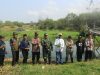 Program Green Impact, PNM Tanam 5.000 Mangrove di Pantai Roro Inten