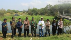 Program Green Impact, PNM Tanam 5.000 Mangrove di Pantai Roro Inten