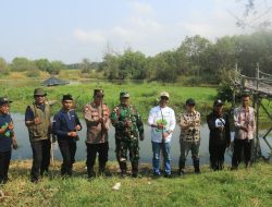 Program Green Impact, PNM Tanam 5.000 Mangrove di Pantai Roro Inten