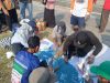 Cegah Tikus Meyerang, Warga Brenggong Racik Obat Mujarab